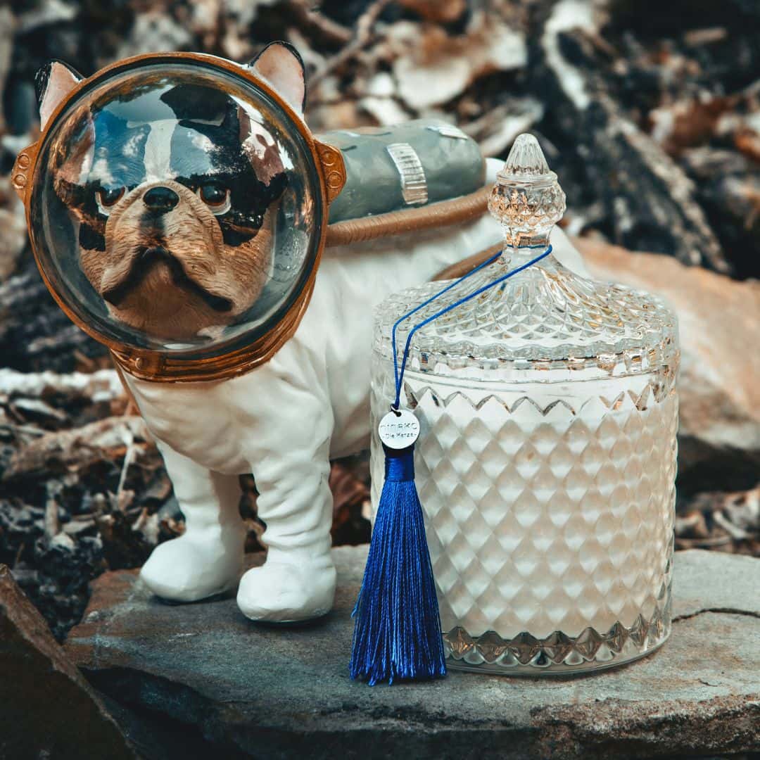 Man on the Moon